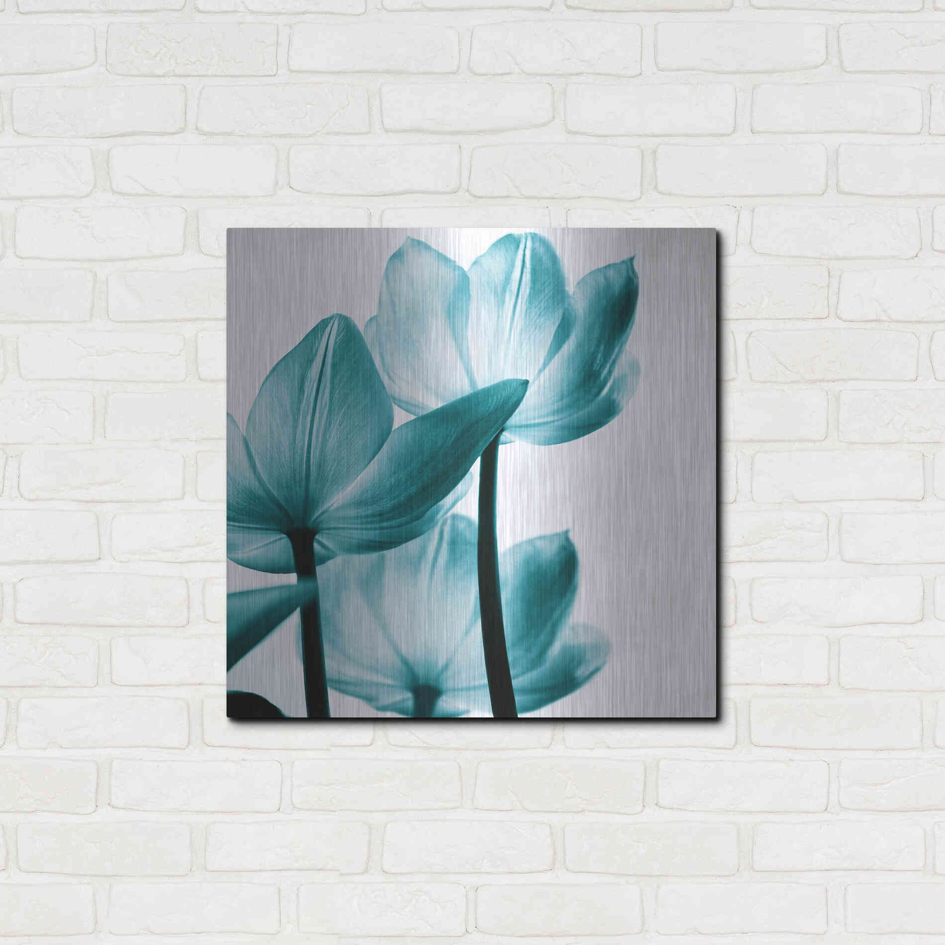 Luxe Metal Art 'Translucent Tulips III Teal' by Debra Van Swearingen, Metal Wall Art,24x24