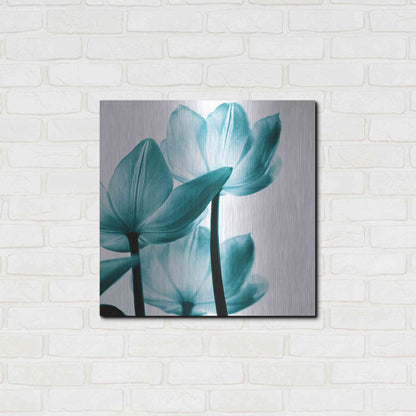 Luxe Metal Art 'Translucent Tulips III Teal' by Debra Van Swearingen, Metal Wall Art,24x24