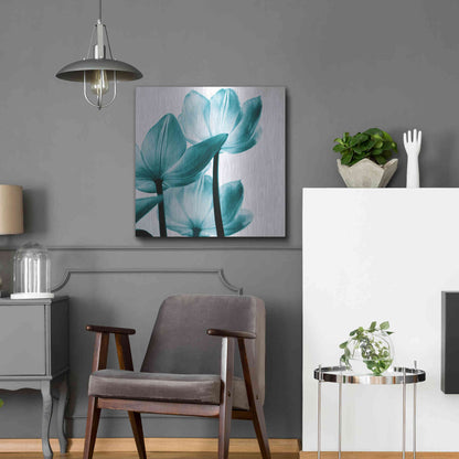 Luxe Metal Art 'Translucent Tulips III Teal' by Debra Van Swearingen, Metal Wall Art,24x24