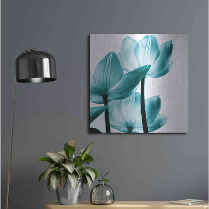 Luxe Metal Art 'Translucent Tulips III Teal' by Debra Van Swearingen, Metal Wall Art,24x24