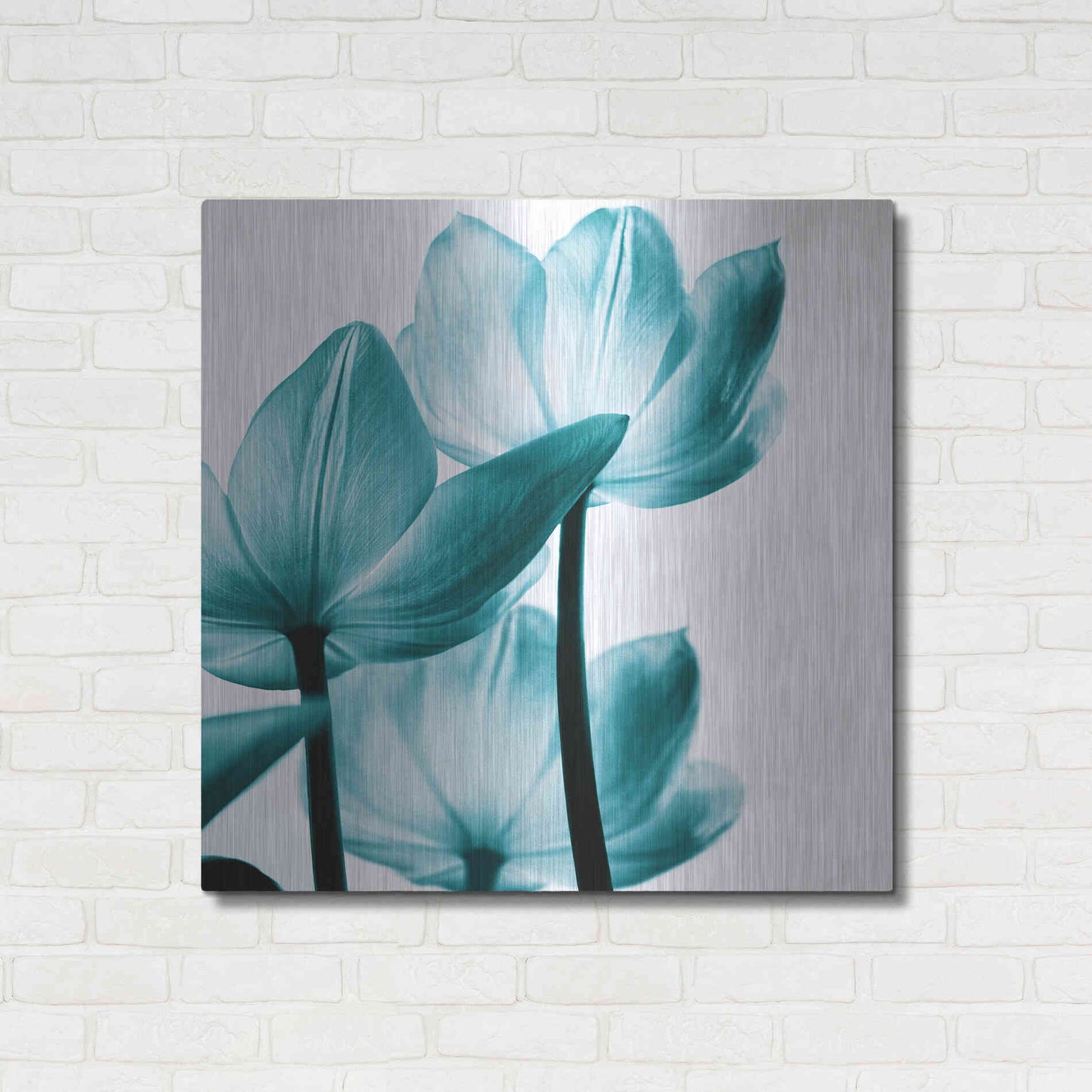 Luxe Metal Art 'Translucent Tulips III Teal' by Debra Van Swearingen, Metal Wall Art,36x36