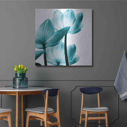 Luxe Metal Art 'Translucent Tulips III Teal' by Debra Van Swearingen, Metal Wall Art,36x36