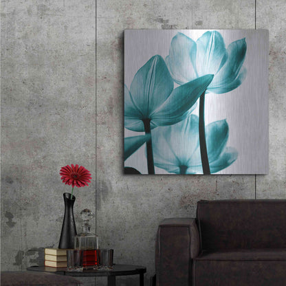 Luxe Metal Art 'Translucent Tulips III Teal' by Debra Van Swearingen, Metal Wall Art,36x36