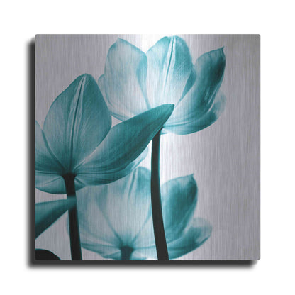 Luxe Metal Art 'Translucent Tulips III Teal' by Debra Van Swearingen, Metal Wall Art