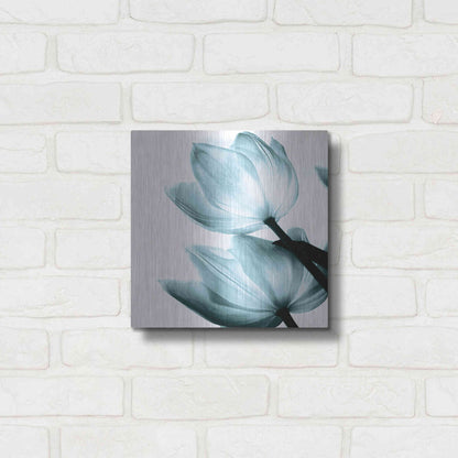 Luxe Metal Art 'Translucent Tulips II Aqua' by Debra Van Swearingen, Metal Wall Art,12x12
