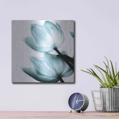 Luxe Metal Art 'Translucent Tulips II Aqua' by Debra Van Swearingen, Metal Wall Art,12x12