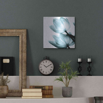 Luxe Metal Art 'Translucent Tulips II Aqua' by Debra Van Swearingen, Metal Wall Art,12x12