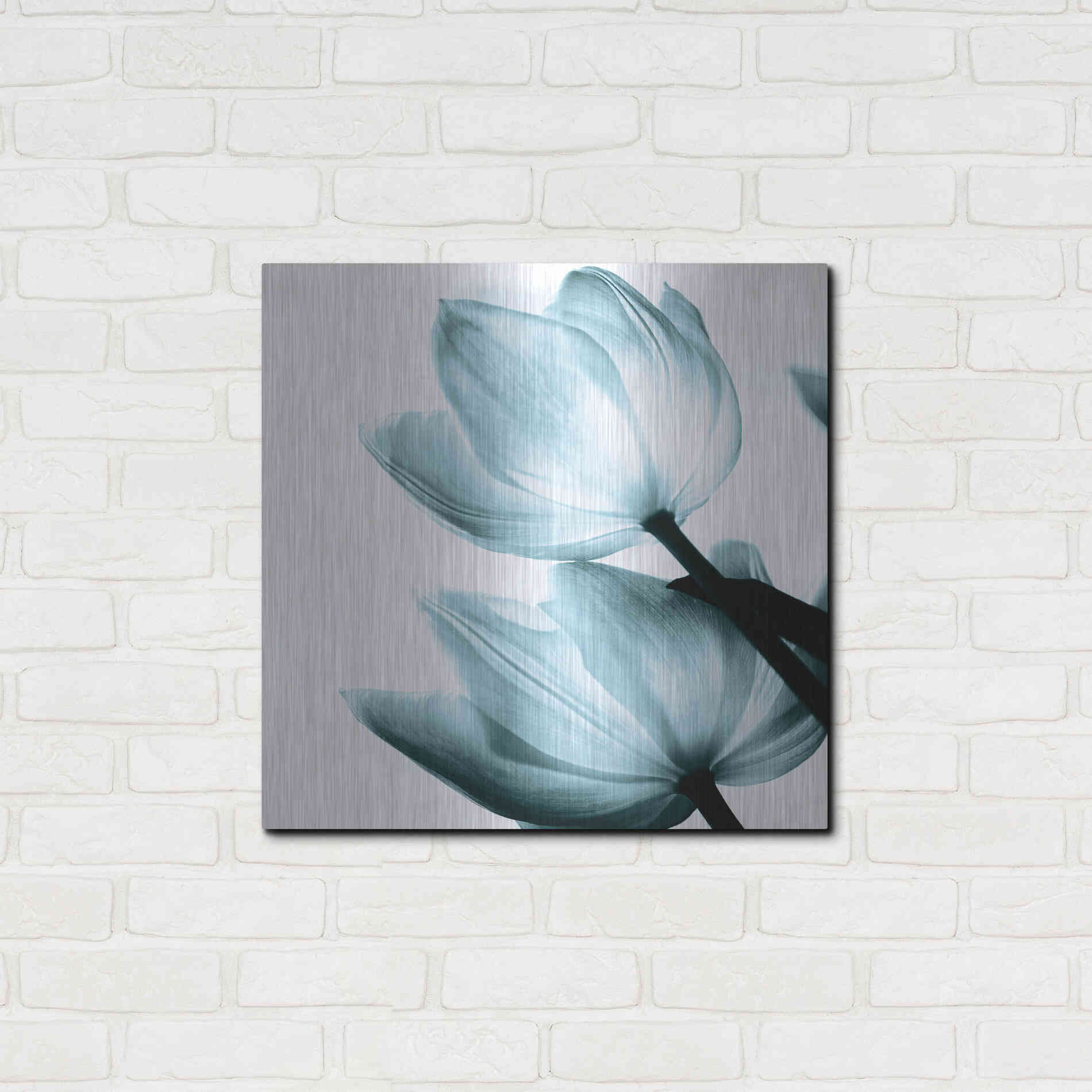 Luxe Metal Art 'Translucent Tulips II Aqua' by Debra Van Swearingen, Metal Wall Art,24x24