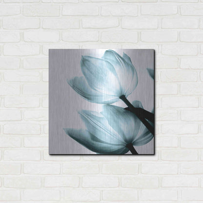Luxe Metal Art 'Translucent Tulips II Aqua' by Debra Van Swearingen, Metal Wall Art,24x24
