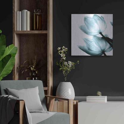 Luxe Metal Art 'Translucent Tulips II Aqua' by Debra Van Swearingen, Metal Wall Art,24x24
