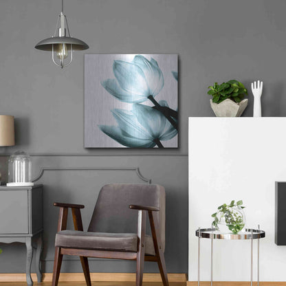 Luxe Metal Art 'Translucent Tulips II Aqua' by Debra Van Swearingen, Metal Wall Art,24x24