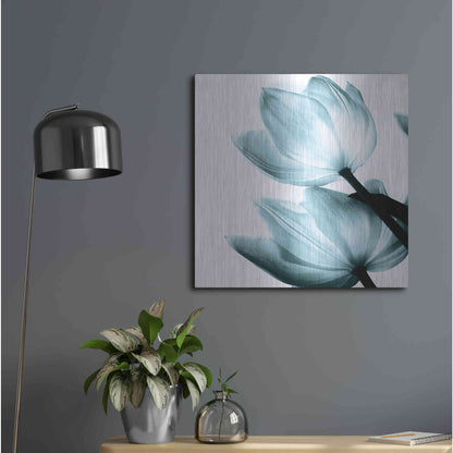 Luxe Metal Art 'Translucent Tulips II Aqua' by Debra Van Swearingen, Metal Wall Art,24x24
