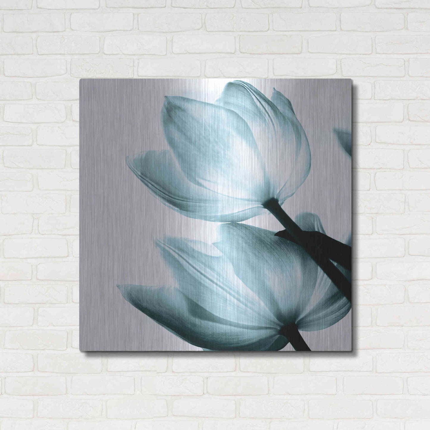 Luxe Metal Art 'Translucent Tulips II Aqua' by Debra Van Swearingen, Metal Wall Art,36x36