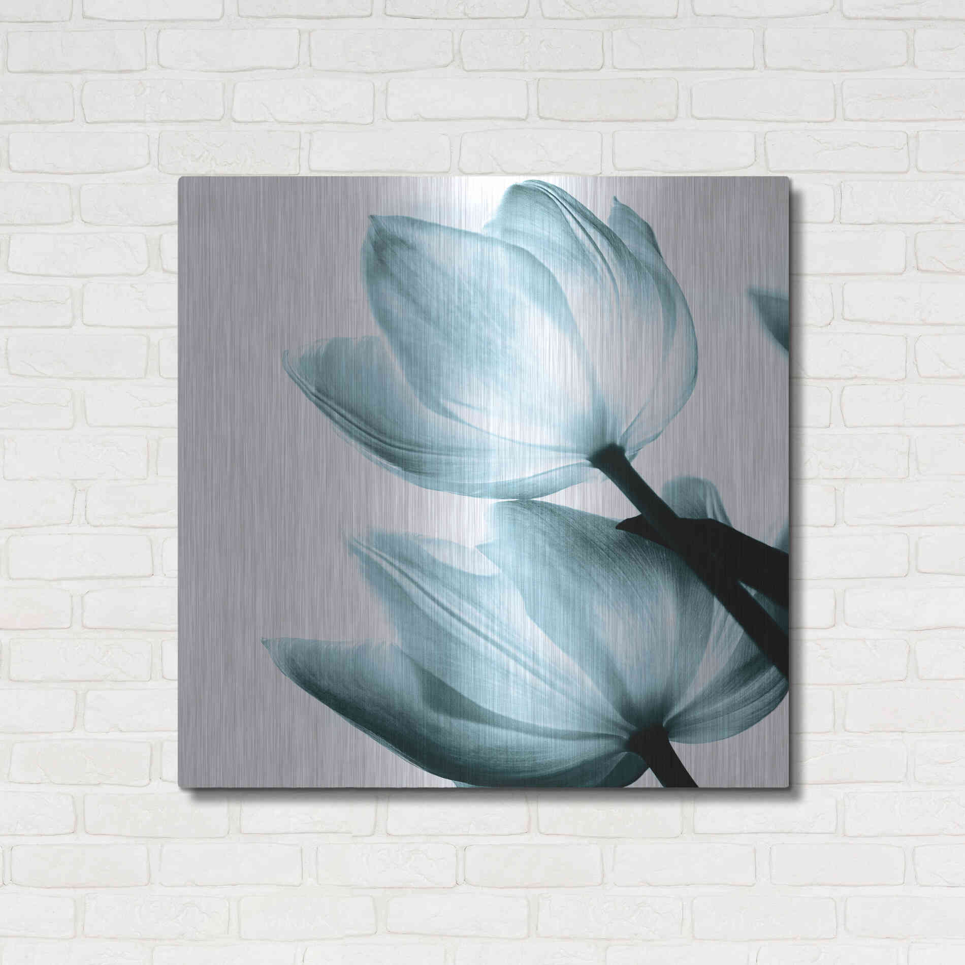 Luxe Metal Art 'Translucent Tulips II Aqua' by Debra Van Swearingen, Metal Wall Art,36x36