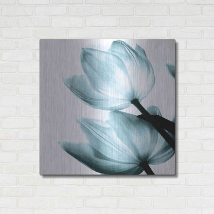 Luxe Metal Art 'Translucent Tulips II Aqua' by Debra Van Swearingen, Metal Wall Art,36x36