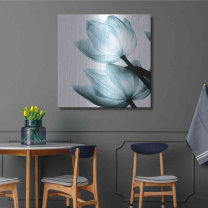 Luxe Metal Art 'Translucent Tulips II Aqua' by Debra Van Swearingen, Metal Wall Art,36x36