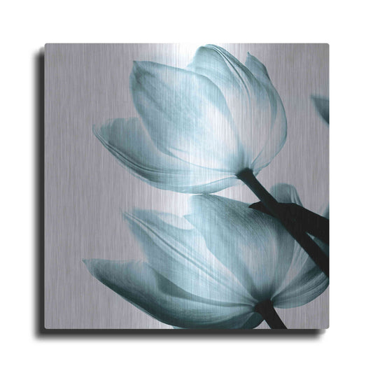 Luxe Metal Art 'Translucent Tulips II Aqua' by Debra Van Swearingen, Metal Wall Art