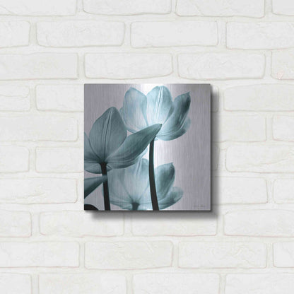 Luxe Metal Art 'Translucent Tulips III Aqua' by Debra Van Swearingen, Metal Wall Art,12x12
