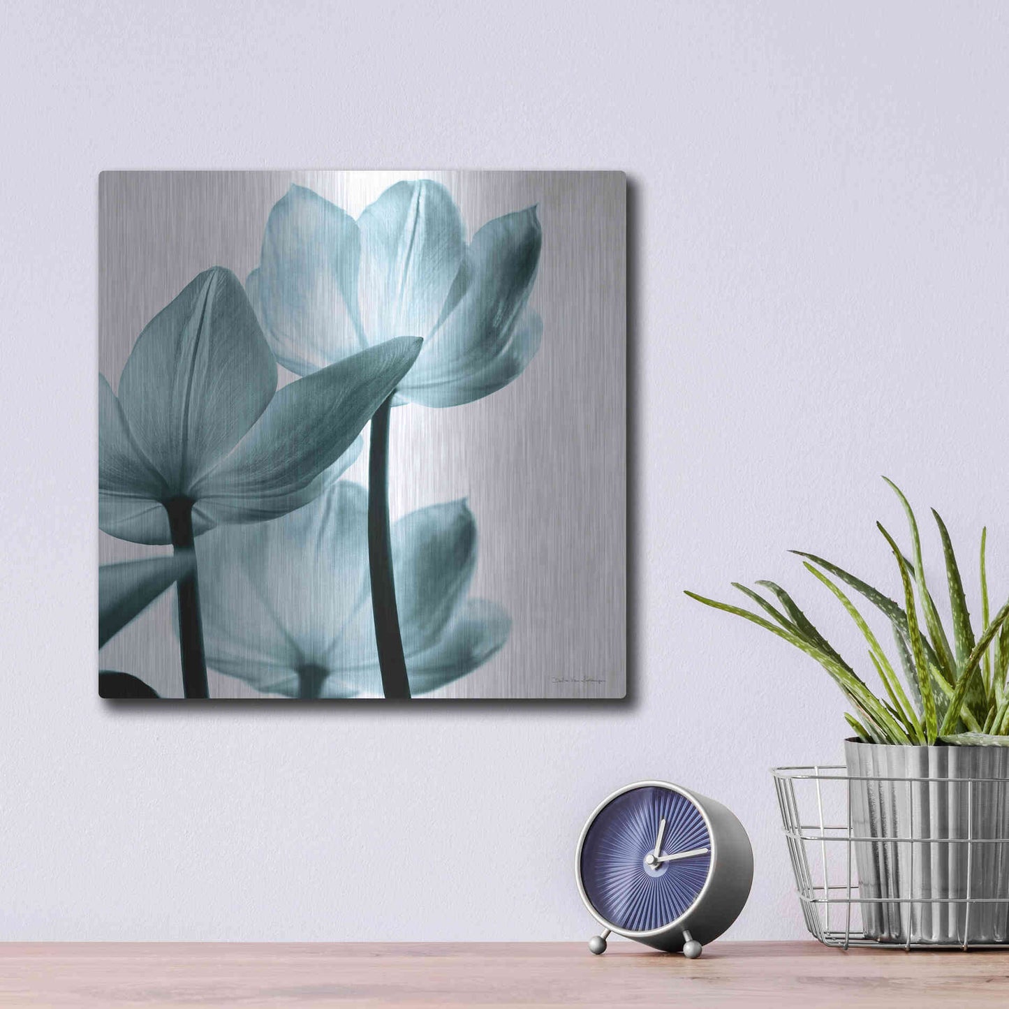 Luxe Metal Art 'Translucent Tulips III Aqua' by Debra Van Swearingen, Metal Wall Art,12x12
