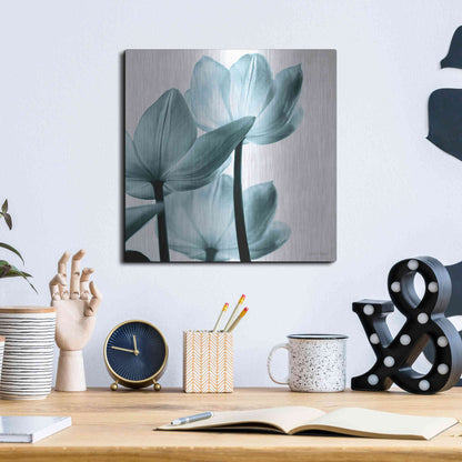 Luxe Metal Art 'Translucent Tulips III Aqua' by Debra Van Swearingen, Metal Wall Art,12x12