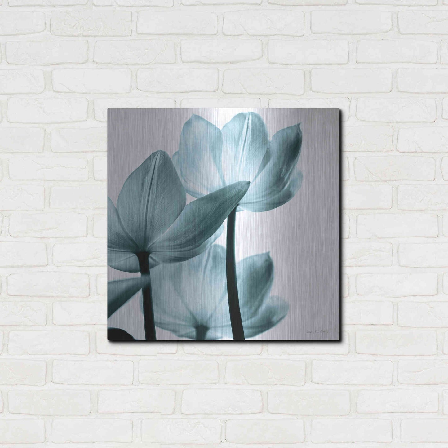 Luxe Metal Art 'Translucent Tulips III Aqua' by Debra Van Swearingen, Metal Wall Art,24x24