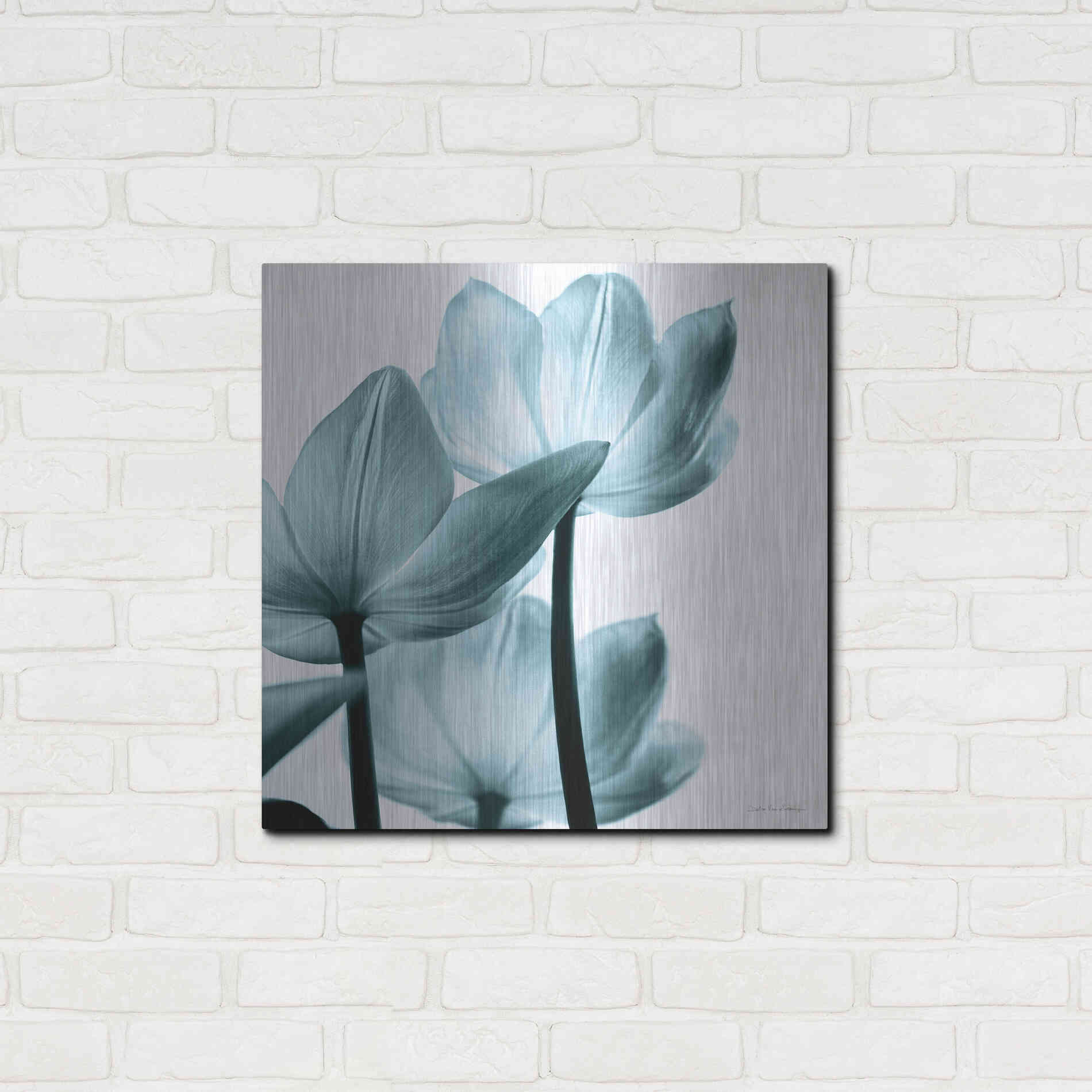 Luxe Metal Art 'Translucent Tulips III Aqua' by Debra Van Swearingen, Metal Wall Art,24x24