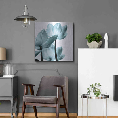 Luxe Metal Art 'Translucent Tulips III Aqua' by Debra Van Swearingen, Metal Wall Art,24x24