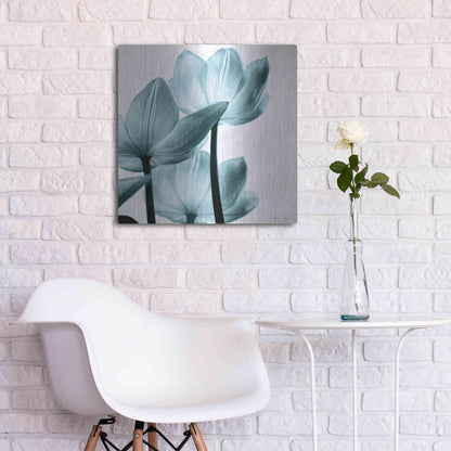 Luxe Metal Art 'Translucent Tulips III Aqua' by Debra Van Swearingen, Metal Wall Art,24x24