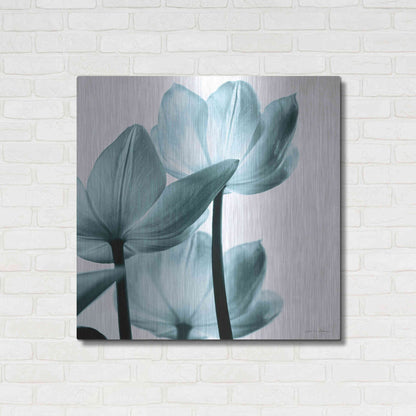 Luxe Metal Art 'Translucent Tulips III Aqua' by Debra Van Swearingen, Metal Wall Art,36x36