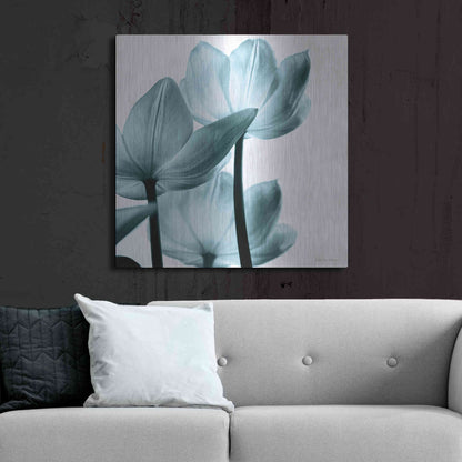 Luxe Metal Art 'Translucent Tulips III Aqua' by Debra Van Swearingen, Metal Wall Art,36x36