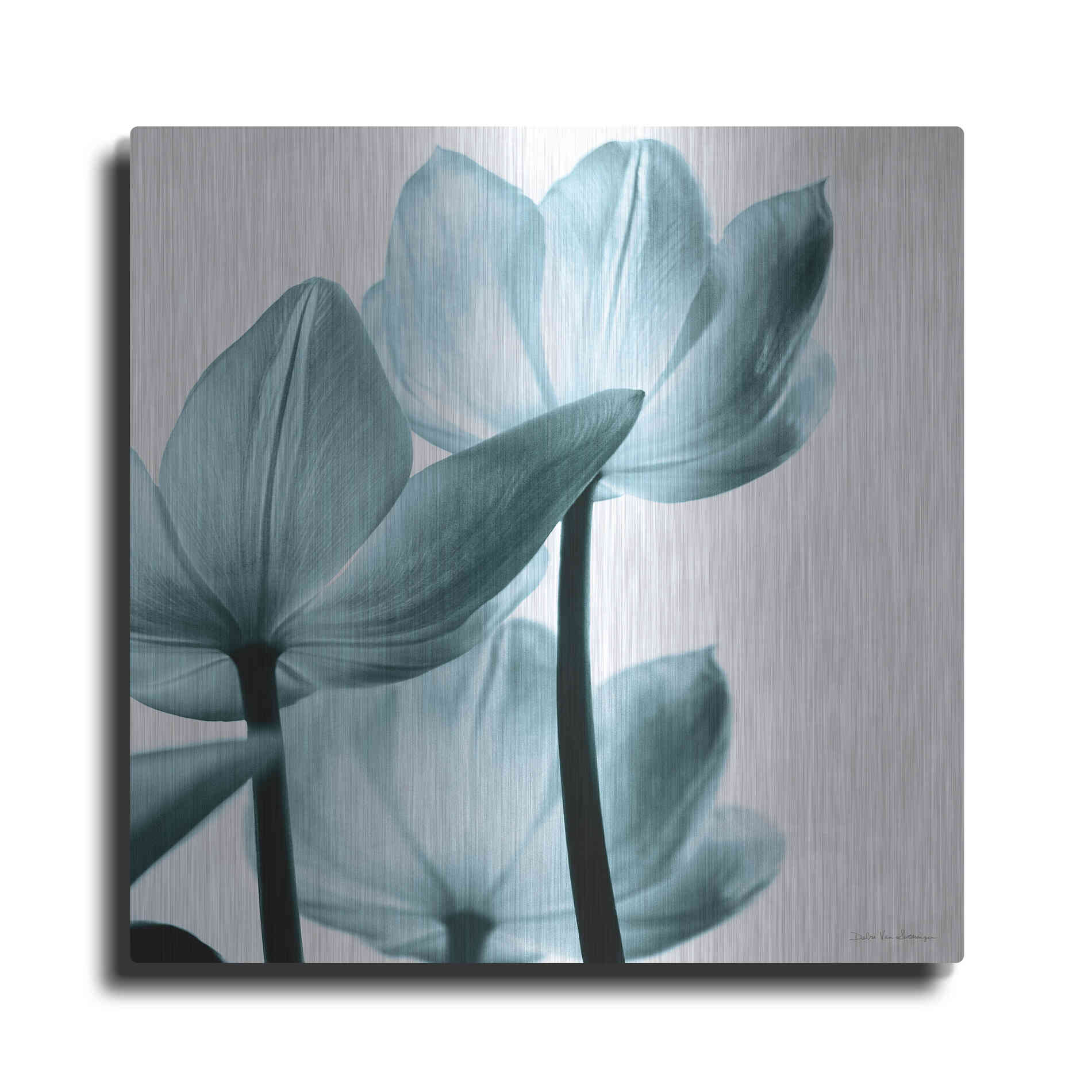 Luxe Metal Art 'Translucent Tulips III Aqua' by Debra Van Swearingen, Metal Wall Art