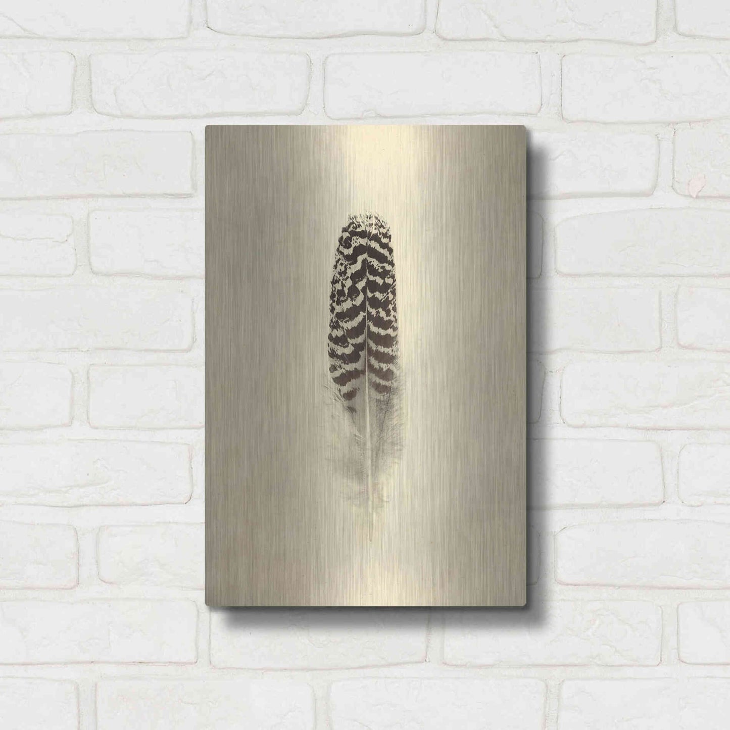 Luxe Metal Art 'Feather I Vintage' by Debra Van Swearingen, Metal Wall Art,12x16