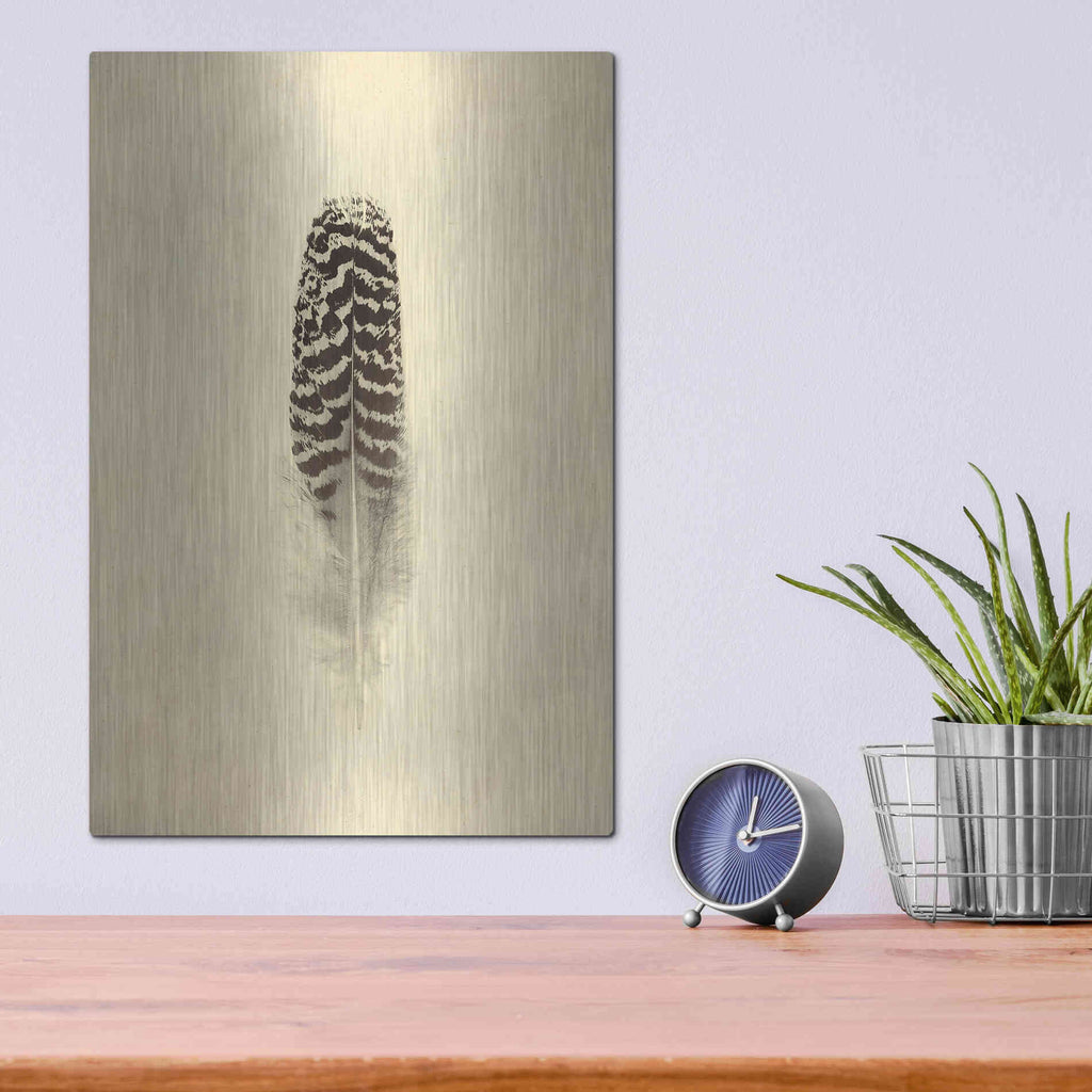 Luxe Metal Art 'Feather I Vintage' by Debra Van Swearingen, Metal Wall Art,12x16