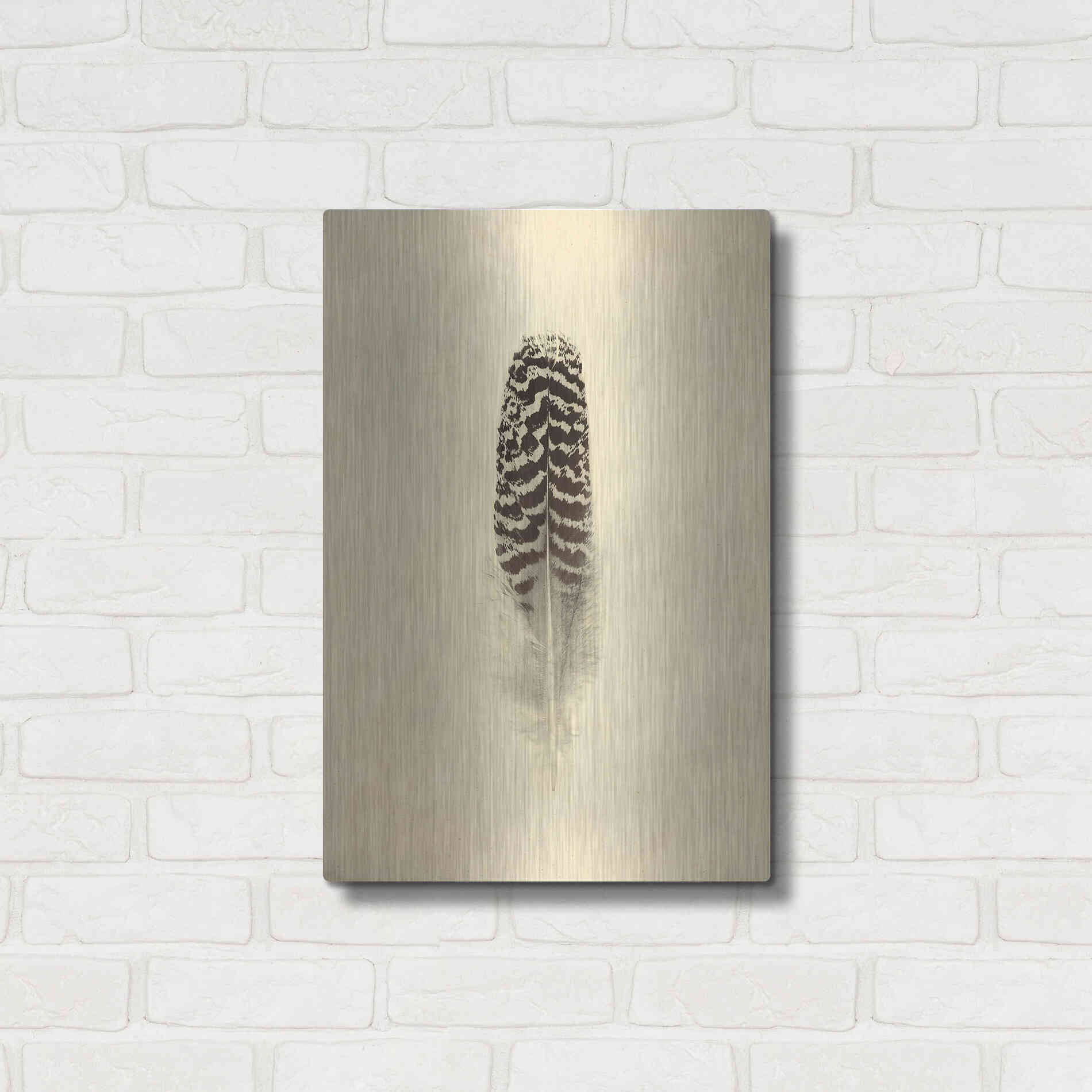Luxe Metal Art 'Feather I Vintage' by Debra Van Swearingen, Metal Wall Art,16x24