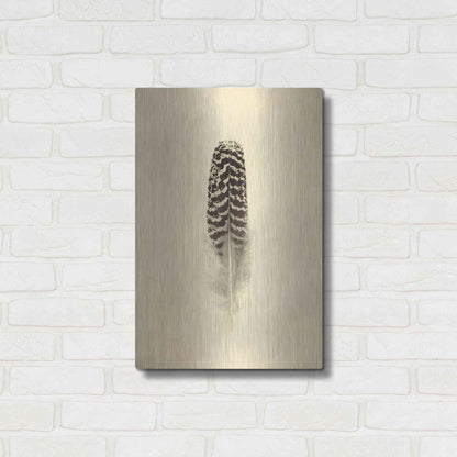 Luxe Metal Art 'Feather I Vintage' by Debra Van Swearingen, Metal Wall Art,16x24