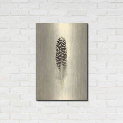 Luxe Metal Art 'Feather I Vintage' by Debra Van Swearingen, Metal Wall Art,24x36