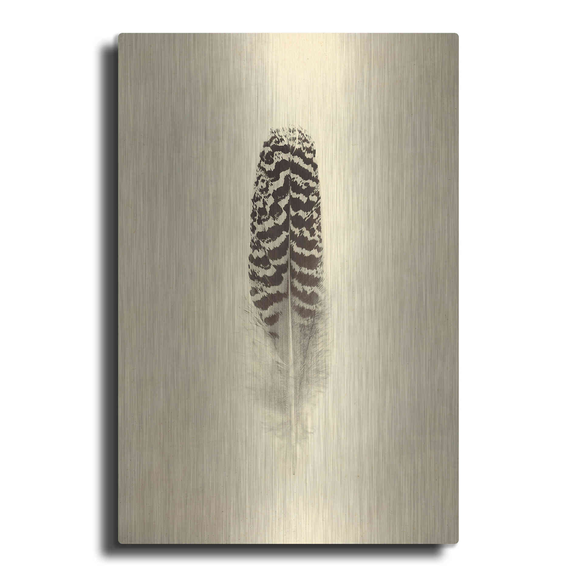 Luxe Metal Art 'Feather I Vintage' by Debra Van Swearingen, Metal Wall Art