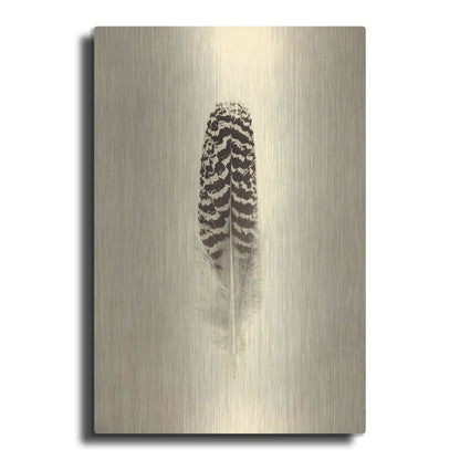 Luxe Metal Art 'Feather I Vintage' by Debra Van Swearingen, Metal Wall Art