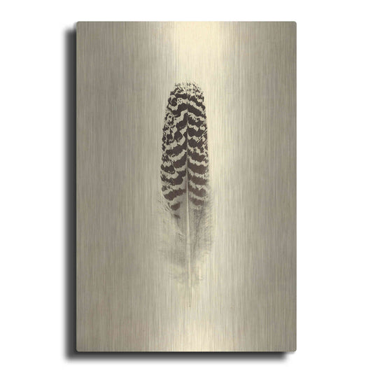 Luxe Metal Art 'Feather I Vintage' by Debra Van Swearingen, Metal Wall Art