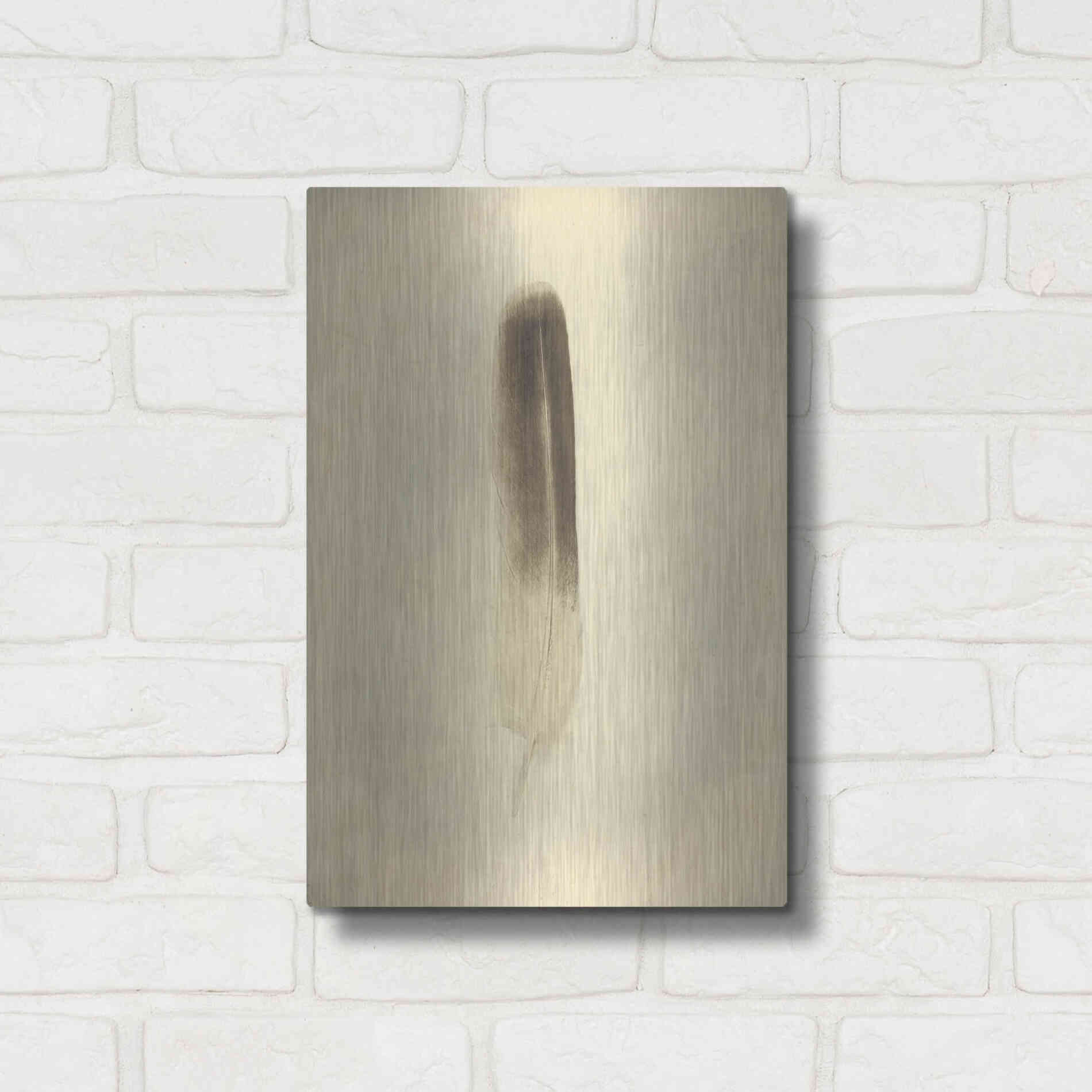 Luxe Metal Art 'Feather II Vintage' by Debra Van Swearingen, Metal Wall Art,12x16
