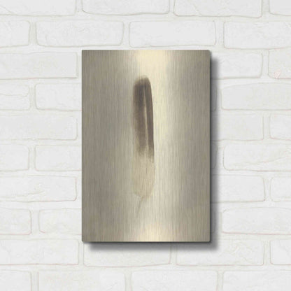 Luxe Metal Art 'Feather II Vintage' by Debra Van Swearingen, Metal Wall Art,12x16
