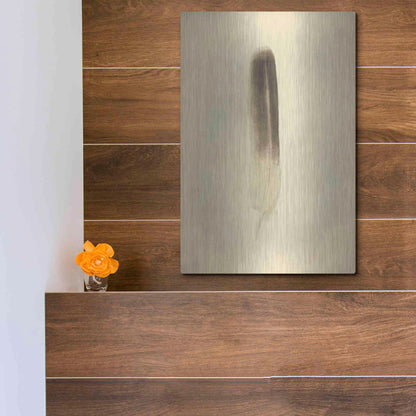 Luxe Metal Art 'Feather II Vintage' by Debra Van Swearingen, Metal Wall Art,12x16