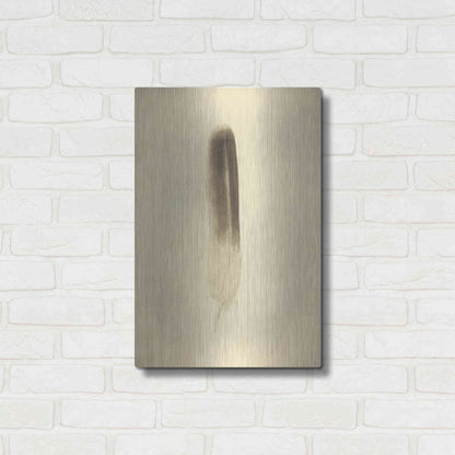 Luxe Metal Art 'Feather II Vintage' by Debra Van Swearingen, Metal Wall Art,16x24