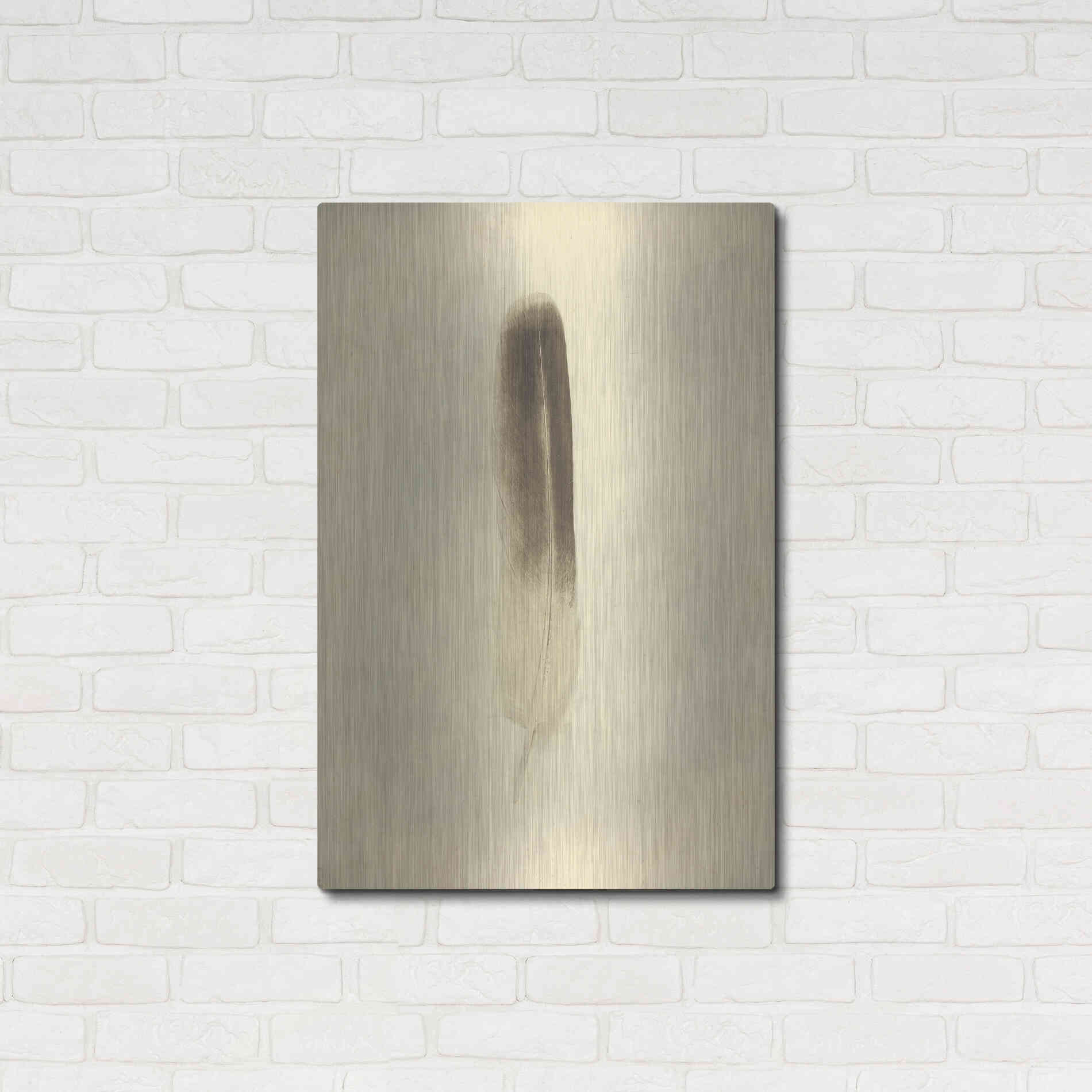 Luxe Metal Art 'Feather II Vintage' by Debra Van Swearingen, Metal Wall Art,24x36