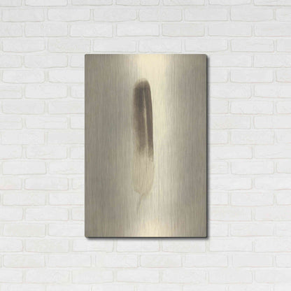 Luxe Metal Art 'Feather II Vintage' by Debra Van Swearingen, Metal Wall Art,24x36