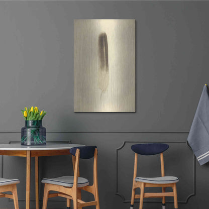 Luxe Metal Art 'Feather II Vintage' by Debra Van Swearingen, Metal Wall Art,24x36