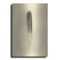 Luxe Metal Art 'Feather II Vintage' by Debra Van Swearingen, Metal Wall Art