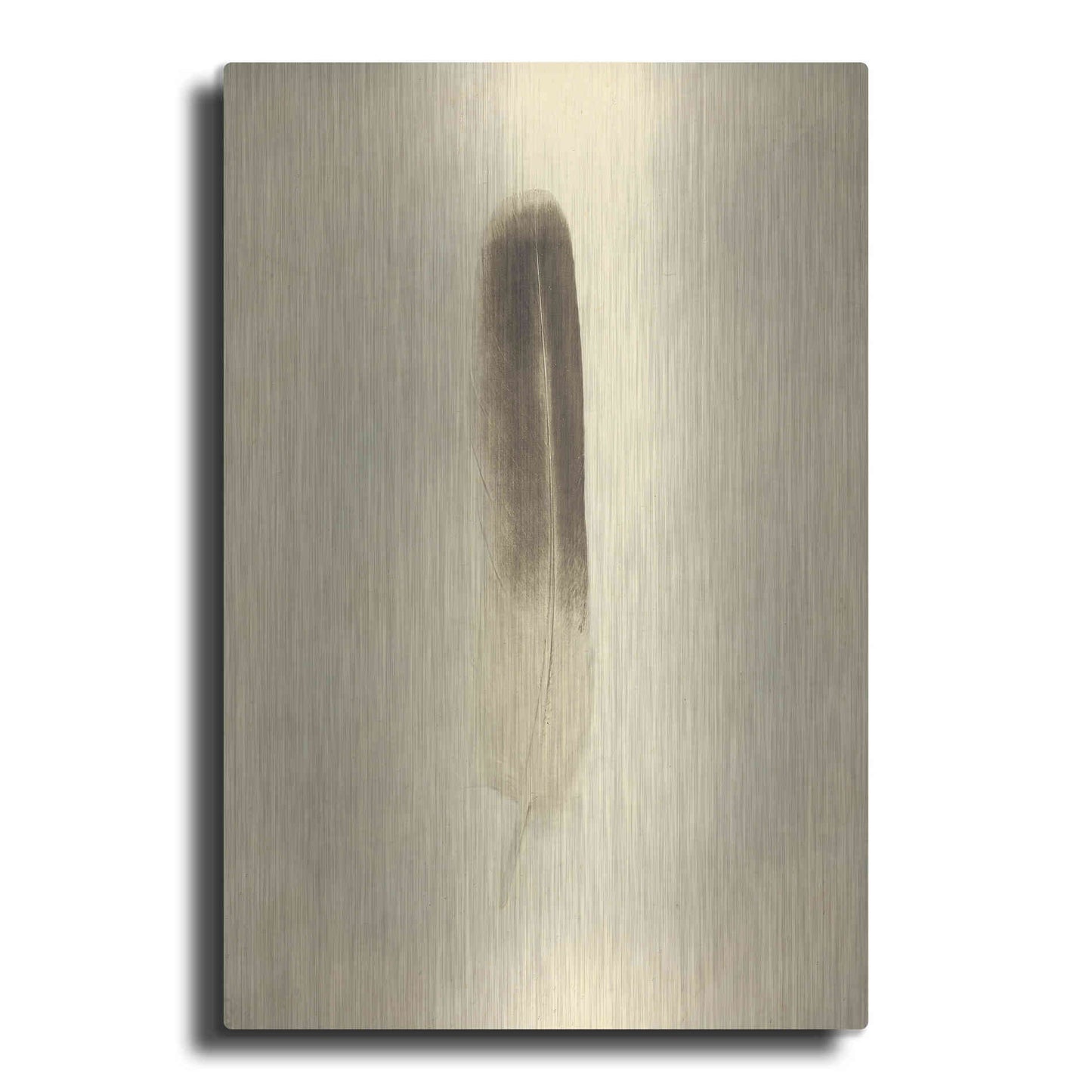 Luxe Metal Art 'Feather II Vintage' by Debra Van Swearingen, Metal Wall Art