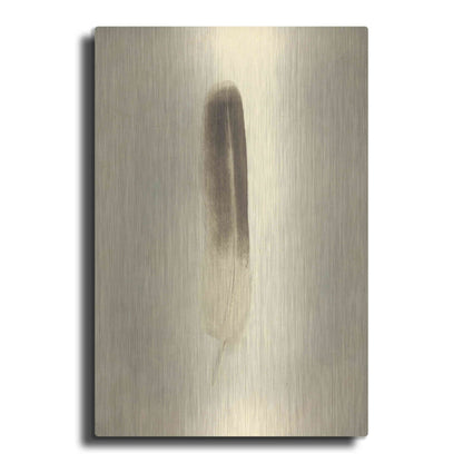 Luxe Metal Art 'Feather II Vintage' by Debra Van Swearingen, Metal Wall Art