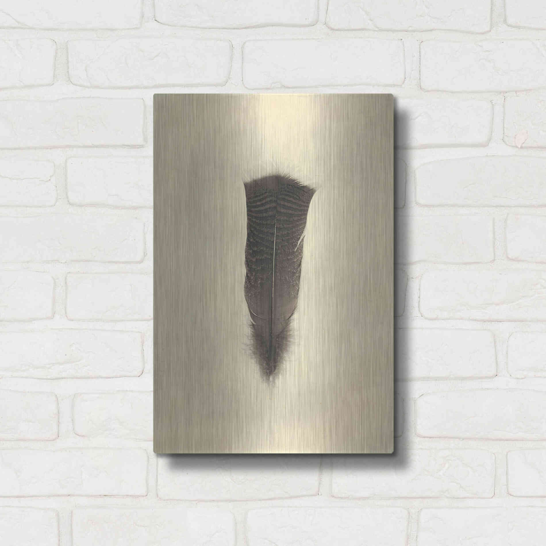Luxe Metal Art 'Feather III Vintage' by Debra Van Swearingen, Metal Wall Art,12x16